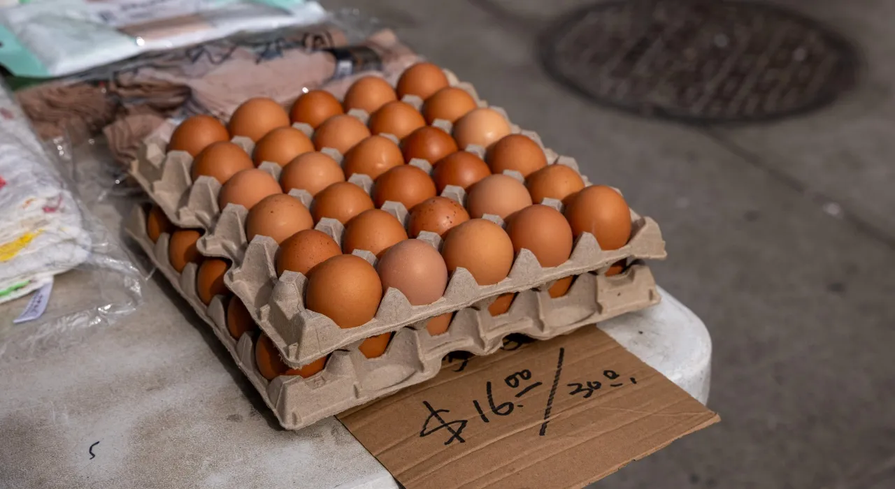 1 พันล้านของรัฐบาลทรัมป์ กับการแก้ปัญหาไข่แพง