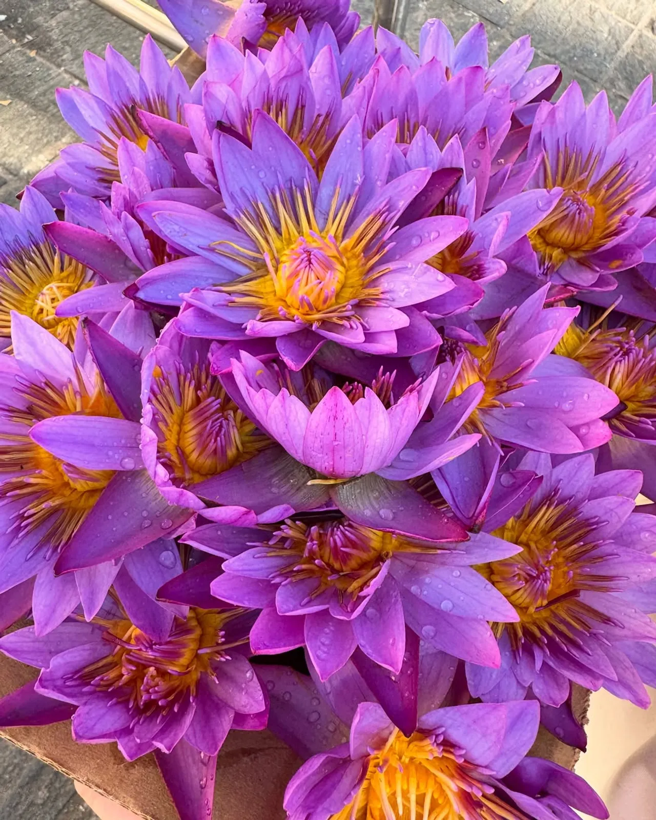 อ.โอเล่ ทำตามที่พูด พา เจนี่ ไปศรีลังกา หลังอธิษฐานตัดภพจบอดีตชาติพญานาค