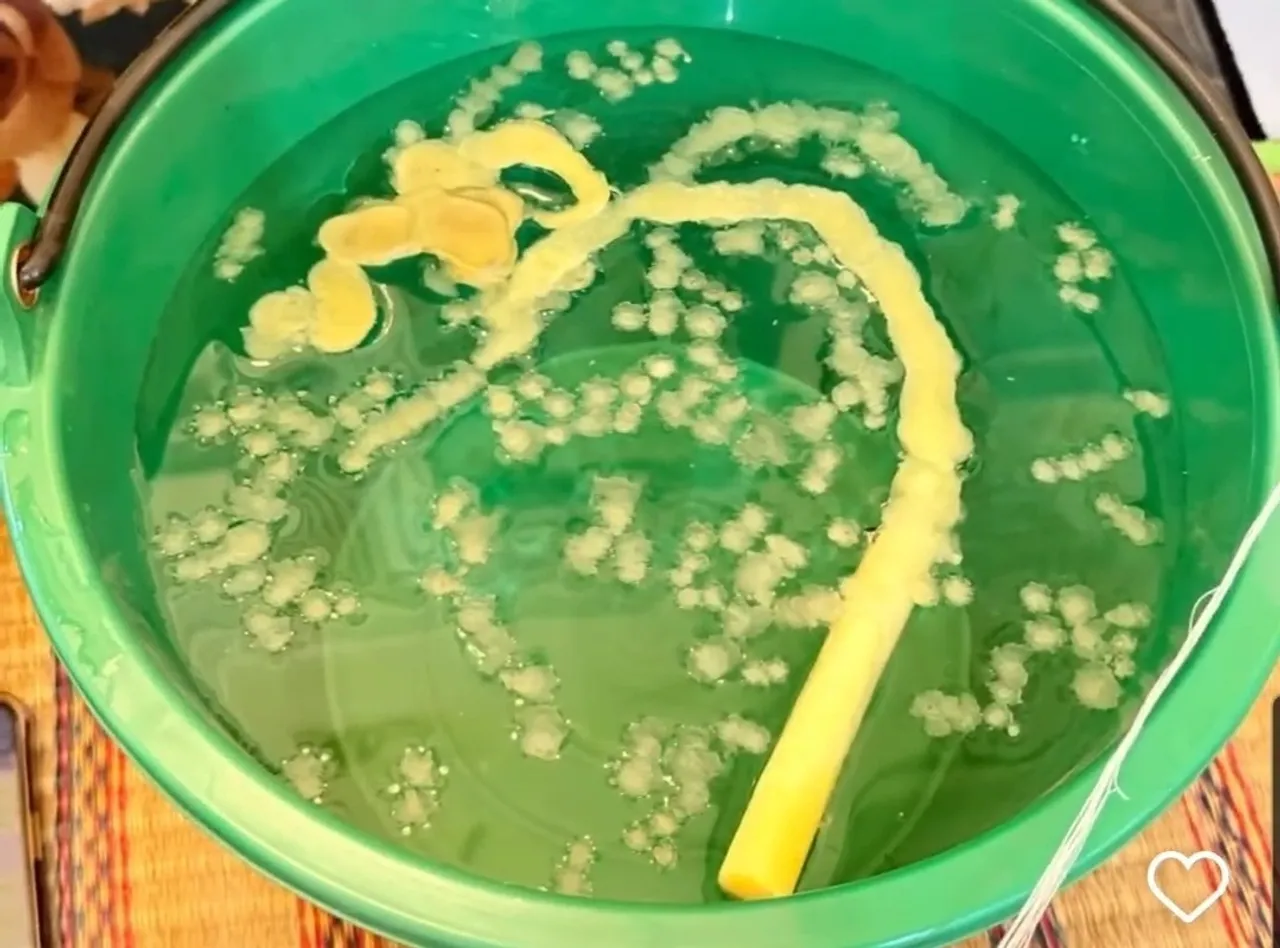 ฮาย อาภาพร นิมนต์พระมาทำบุญบ้าน คนโฟกัสที่เลขในขันน้ำมนต์ (คลิป)