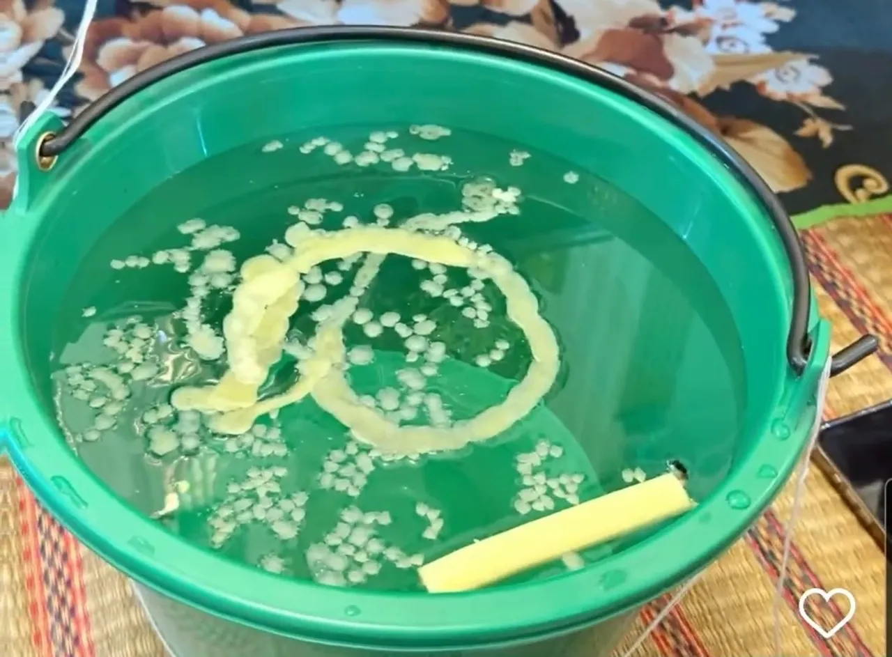 ฮาย อาภาพร นิมนต์พระมาทำบุญบ้าน คนโฟกัสที่เลขในขันน้ำมนต์ (คลิป)