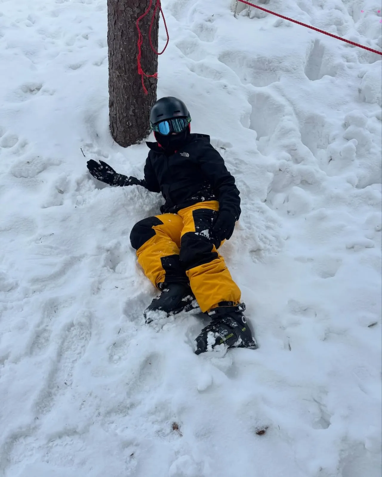 ฮาน่า-ฮิวโก้ พาลูกเที่ยวเมืองนอก คนแห่โฟกัสที่ น้องฮาร์เปอร์ สูงหล่อแซงพ่อแล้ว