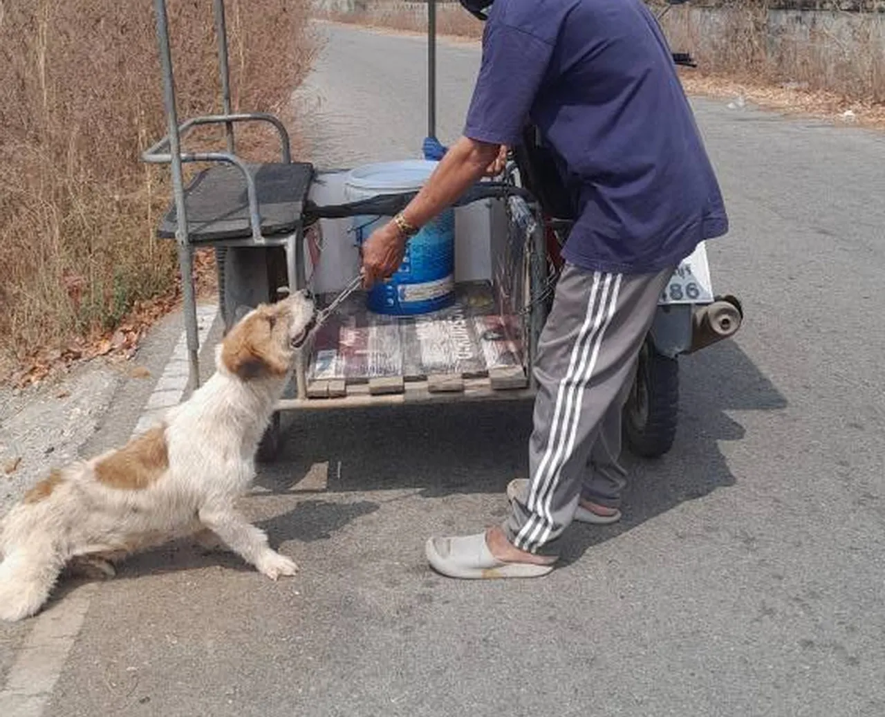 พบแล้ว ชายผูกคอ "สุนัข" ลากไปกับรถซาเล้ง ตำรวจตามคุมตัว เพื่อสอบข้อเท็จจริง