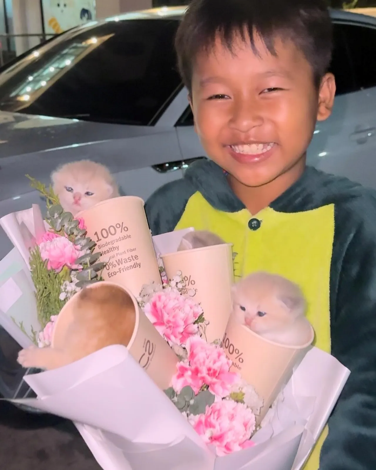 เจ้าของแจ้งข่าวเศร้า น้องแมวเซเล็บ "ใจฟู" กลับดาวแมวแล้ว