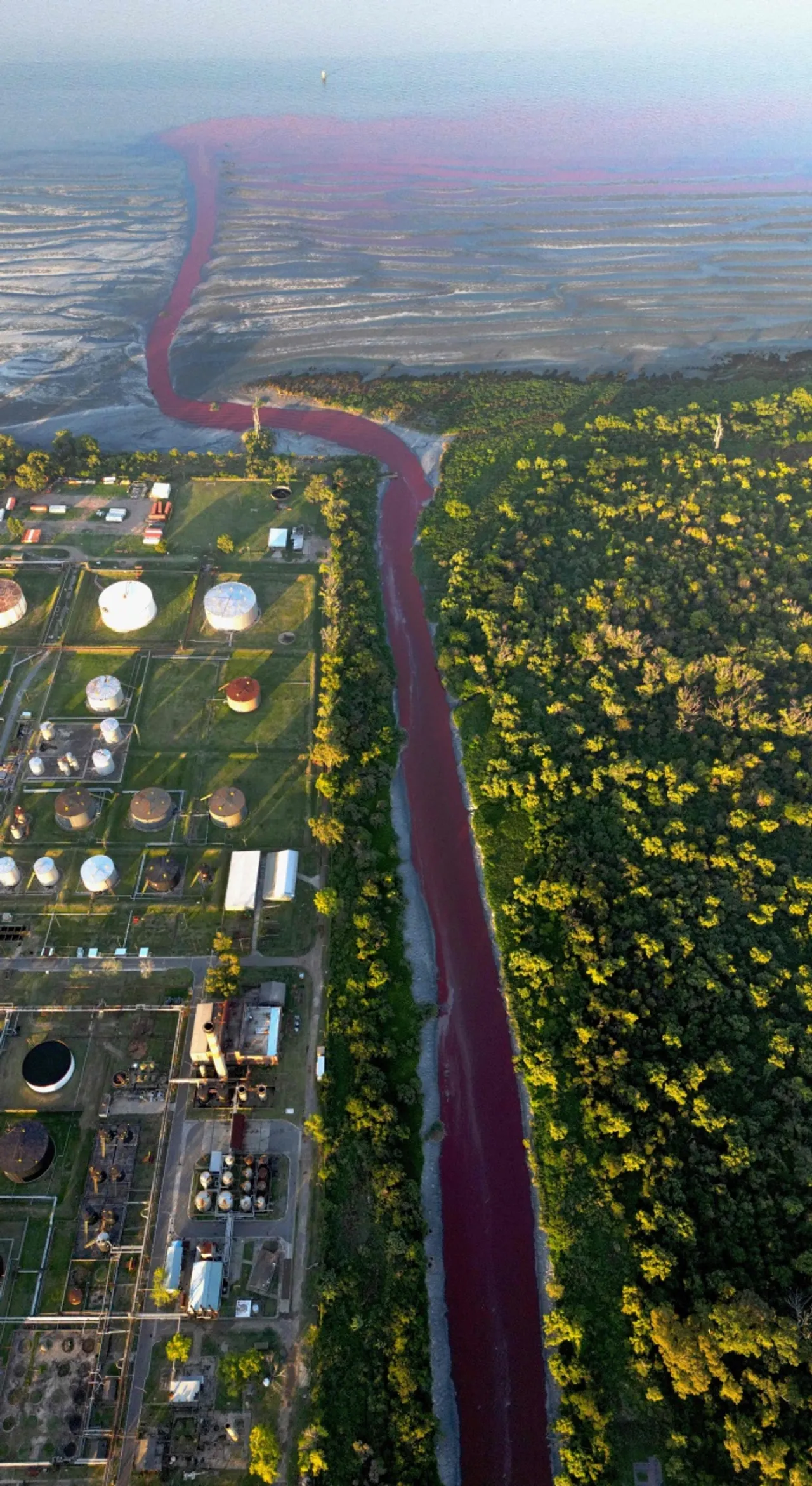 ชาวบ้านตะลึง แม่น้ำอาร์เจนตินาเปลี่ยนเป็นสีเลือด