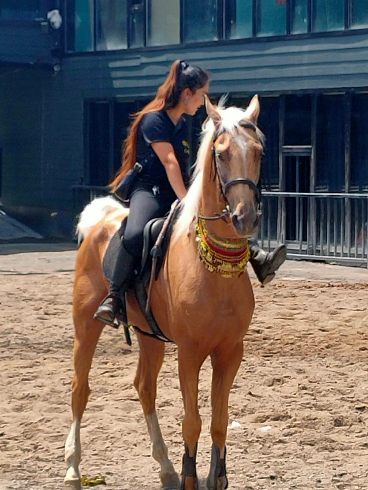 ตามหาม้าเหงื่อโลหิตในตำนาน ในซินเจียงอุยกูร์