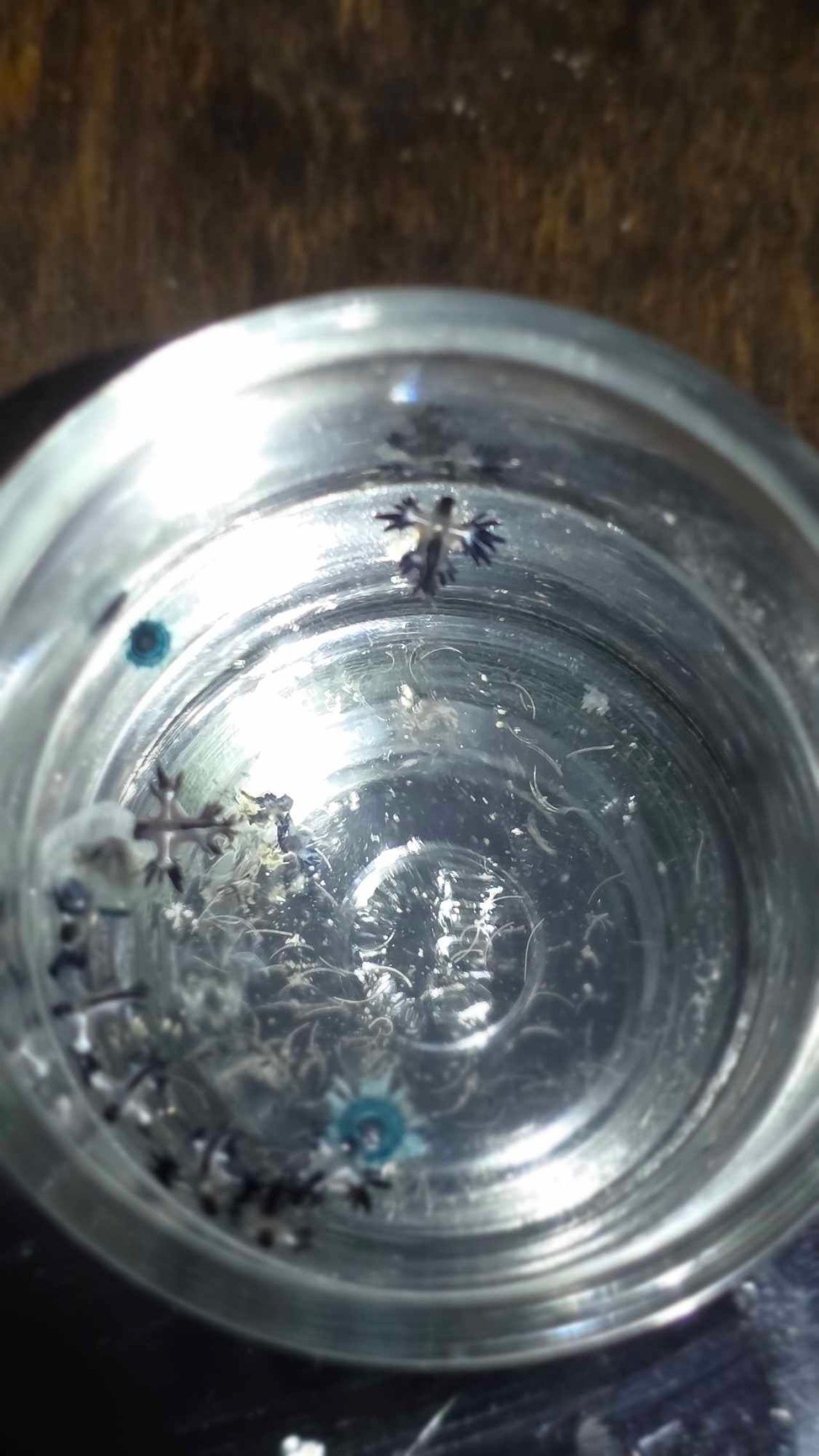 ภาพจากเพจ : ขยะมรสุม ᴍᴏɴsᴏᴏɴɢᴀʀʙᴀɢᴇ ᴛʜᴀɪʟᴀɴᴅ