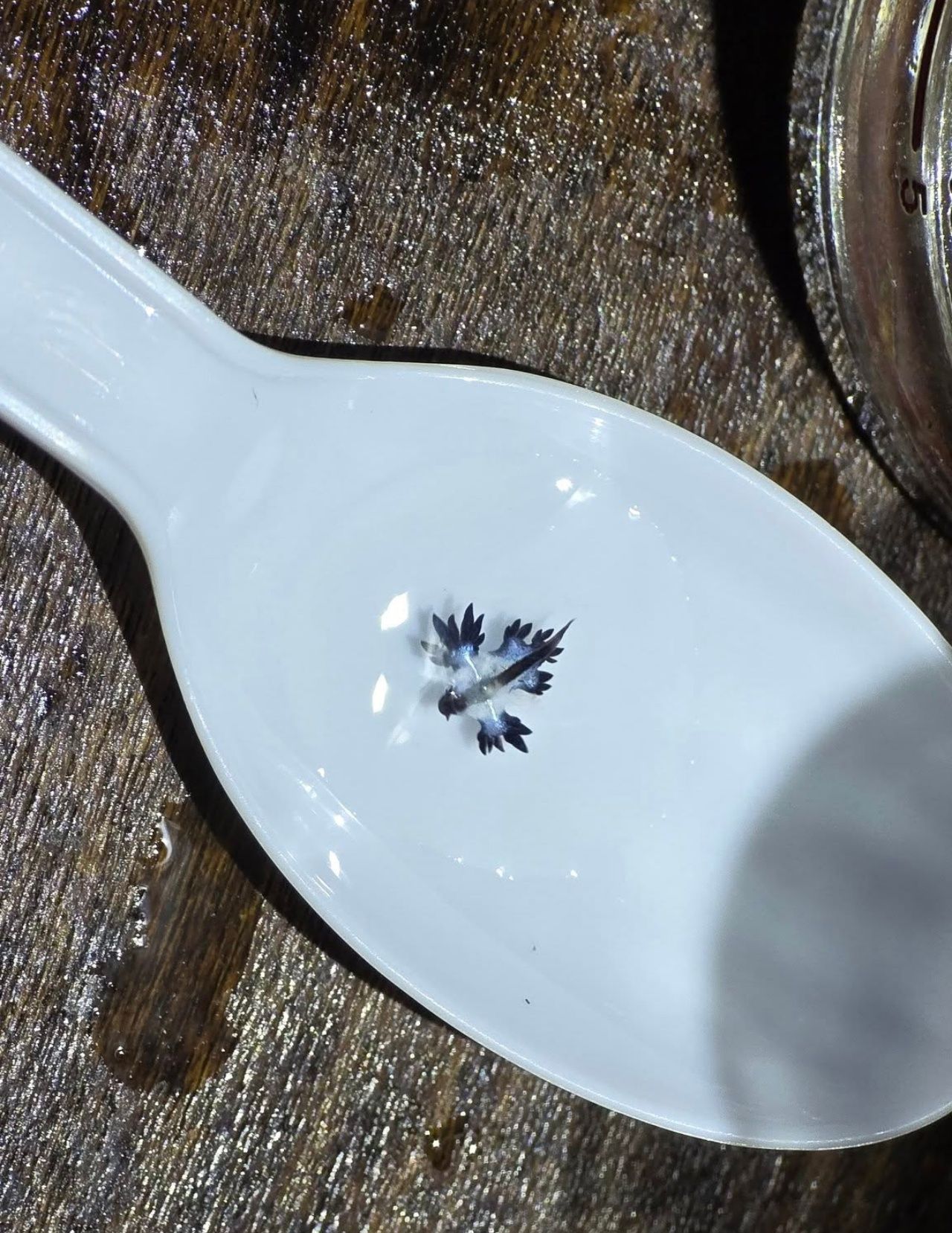 ภาพจากเพจ : ขยะมรสุม ᴍᴏɴsᴏᴏɴɢᴀʀʙᴀɢᴇ ᴛʜᴀɪʟᴀɴᴅ