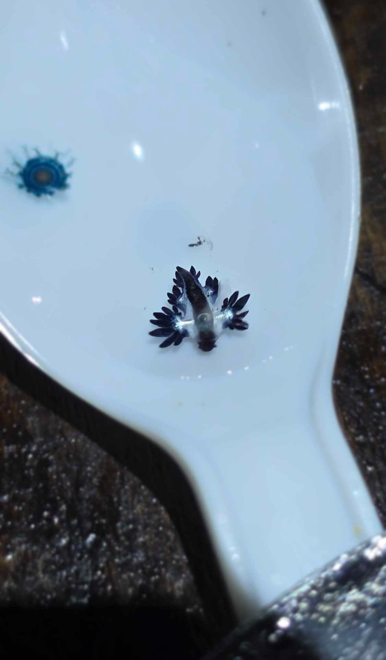 ภาพจากเพจ : ขยะมรสุม ᴍᴏɴsᴏᴏɴɢᴀʀʙᴀɢᴇ ᴛʜᴀɪʟᴀɴᴅ