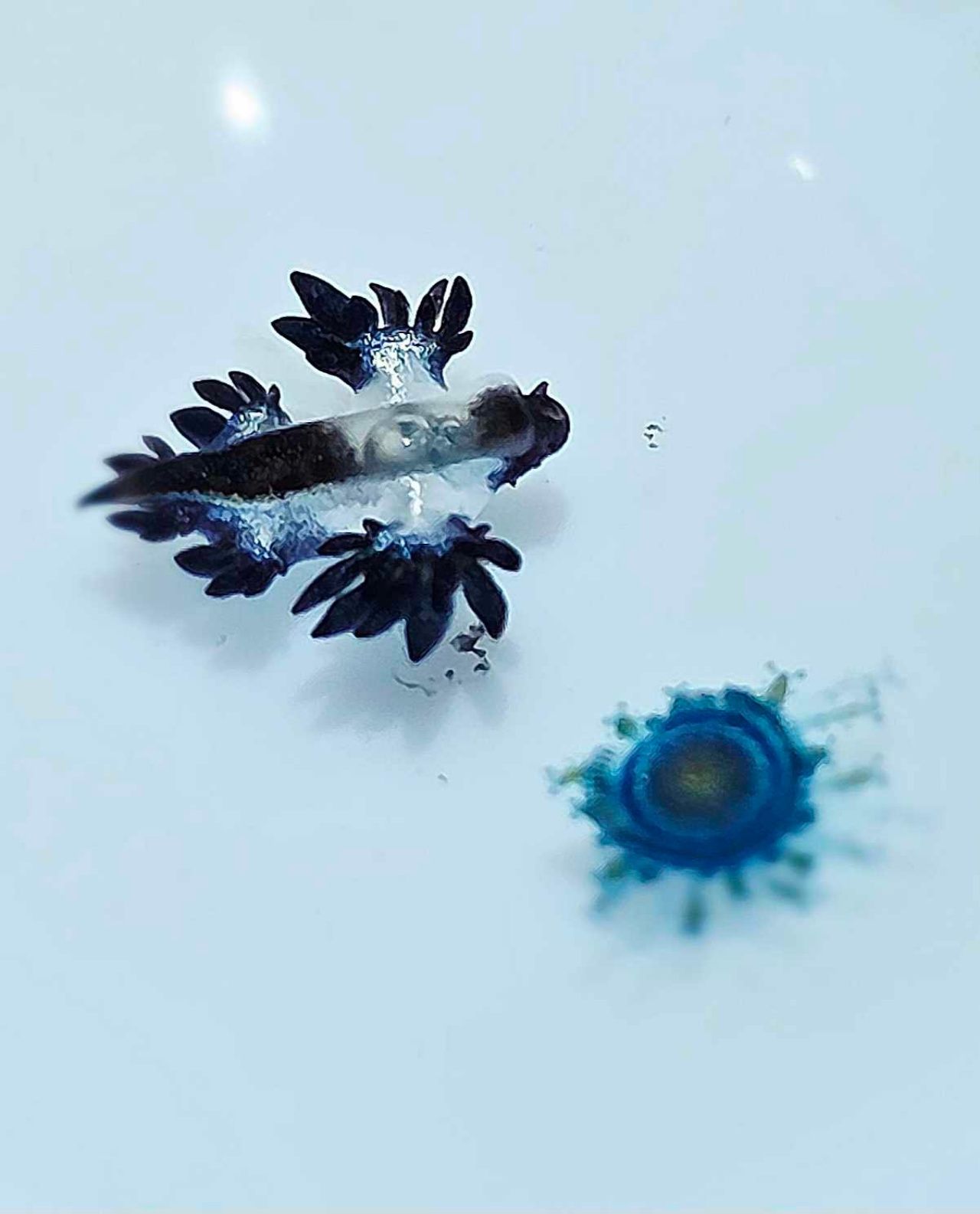 ภาพจากเพจ : ขยะมรสุม ᴍᴏɴsᴏᴏɴɢᴀʀʙᴀɢᴇ ᴛʜᴀɪʟᴀɴᴅ