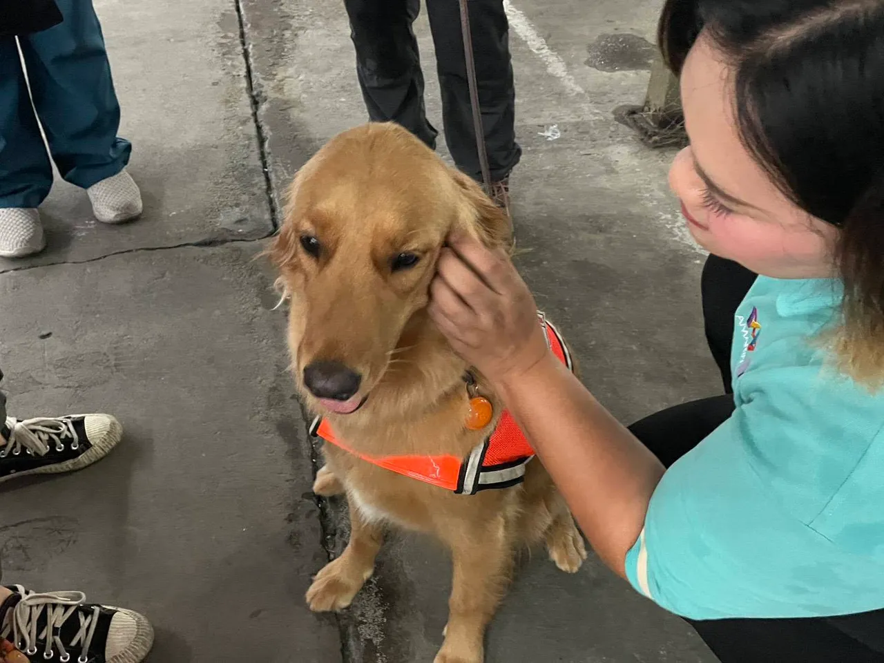 สุนัข K9 ถอนกำลัง หลังเจอดราม่า ผอ.ชี้ทำตามกำหนดปกติ