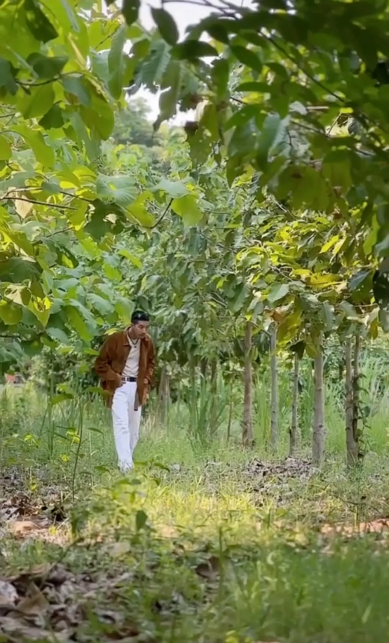 โตโน่ ภาคิน เผยกิจกรรมในวันว่าง เดินสำรวจป่าที่ปลูกไว้ ชาวเน็ตแห่คอมเมนต์