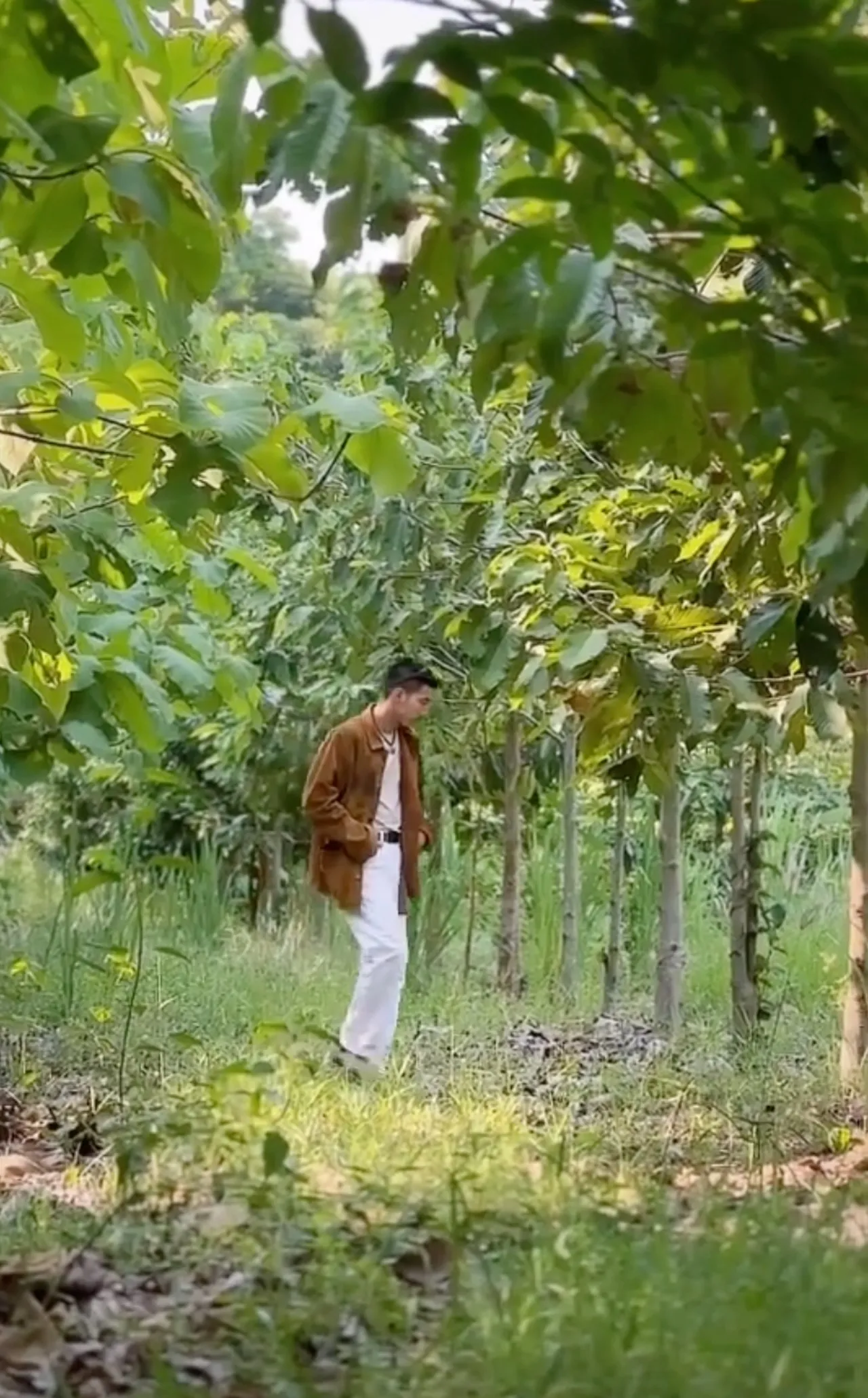 โตโน่ ภาคิน เผยกิจกรรมในวันว่าง เดินสำรวจป่าที่ปลูกไว้ ชาวเน็ตแห่คอมเมนต์