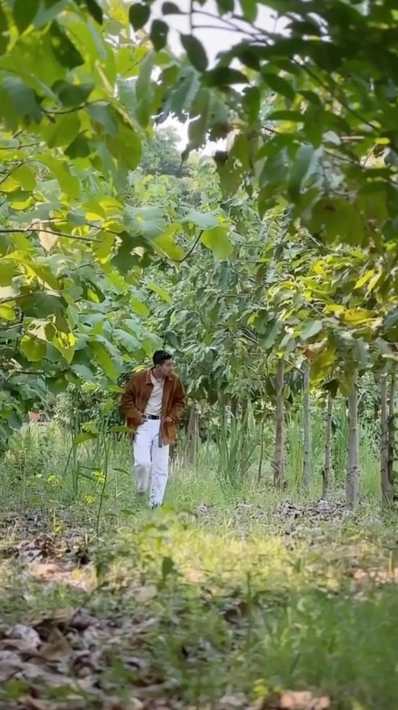 โตโน่ ภาคิน เผยกิจกรรมในวันว่าง เดินสำรวจป่าที่ปลูกไว้ ชาวเน็ตแห่คอมเมนต์