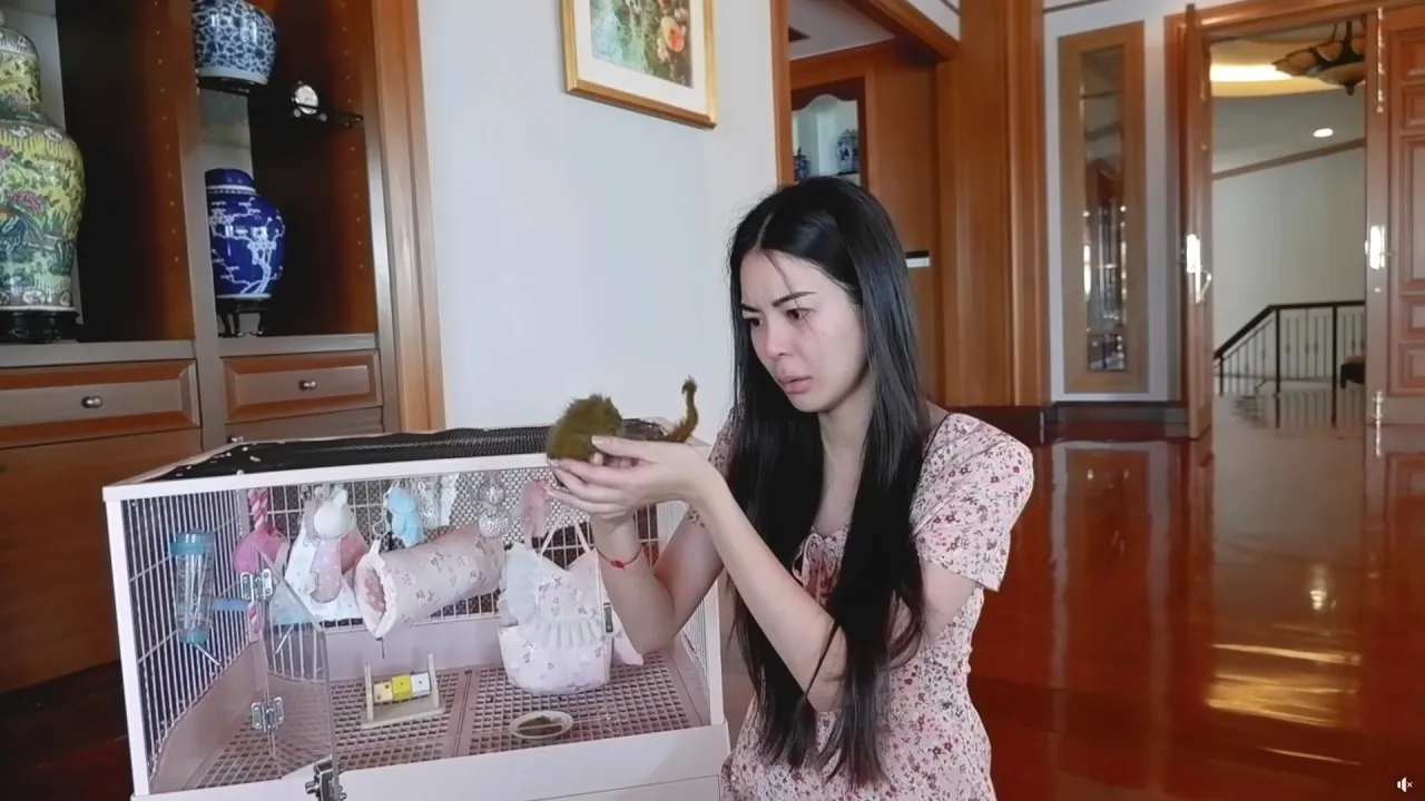 เอวา ร่ำไห้โทรบอกข่าวร้าย เนท มายเมทเนท เศร้าสูญเสียหลายอย่างในเวลาใกล้กัน