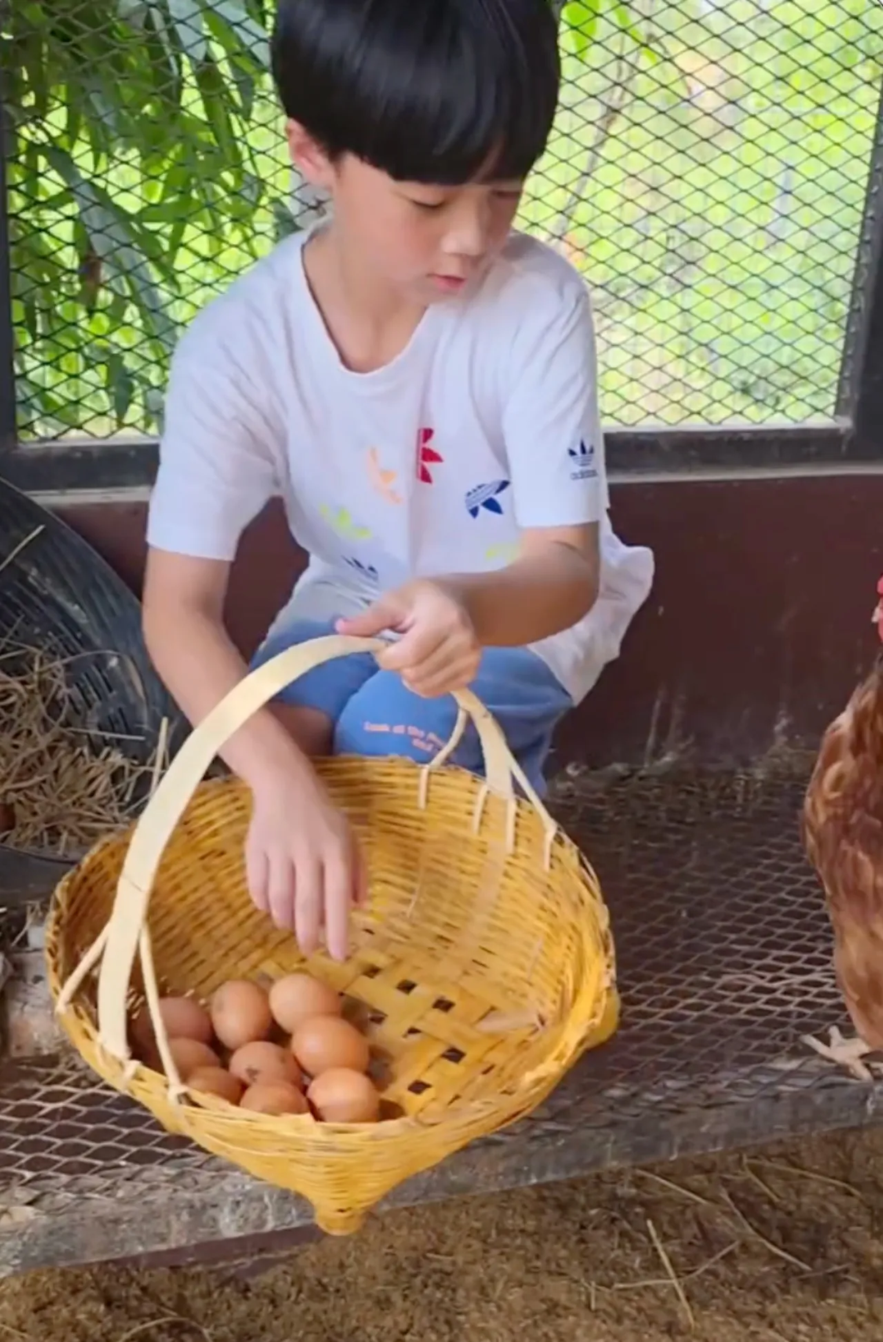 เปิดสวนคุณยายเจ๊เกล ชมพู่ อารยา พาลูกๆ ใช้ชีวิตบ้านๆ เก็บไข่ เก็บผักมาทำกิน