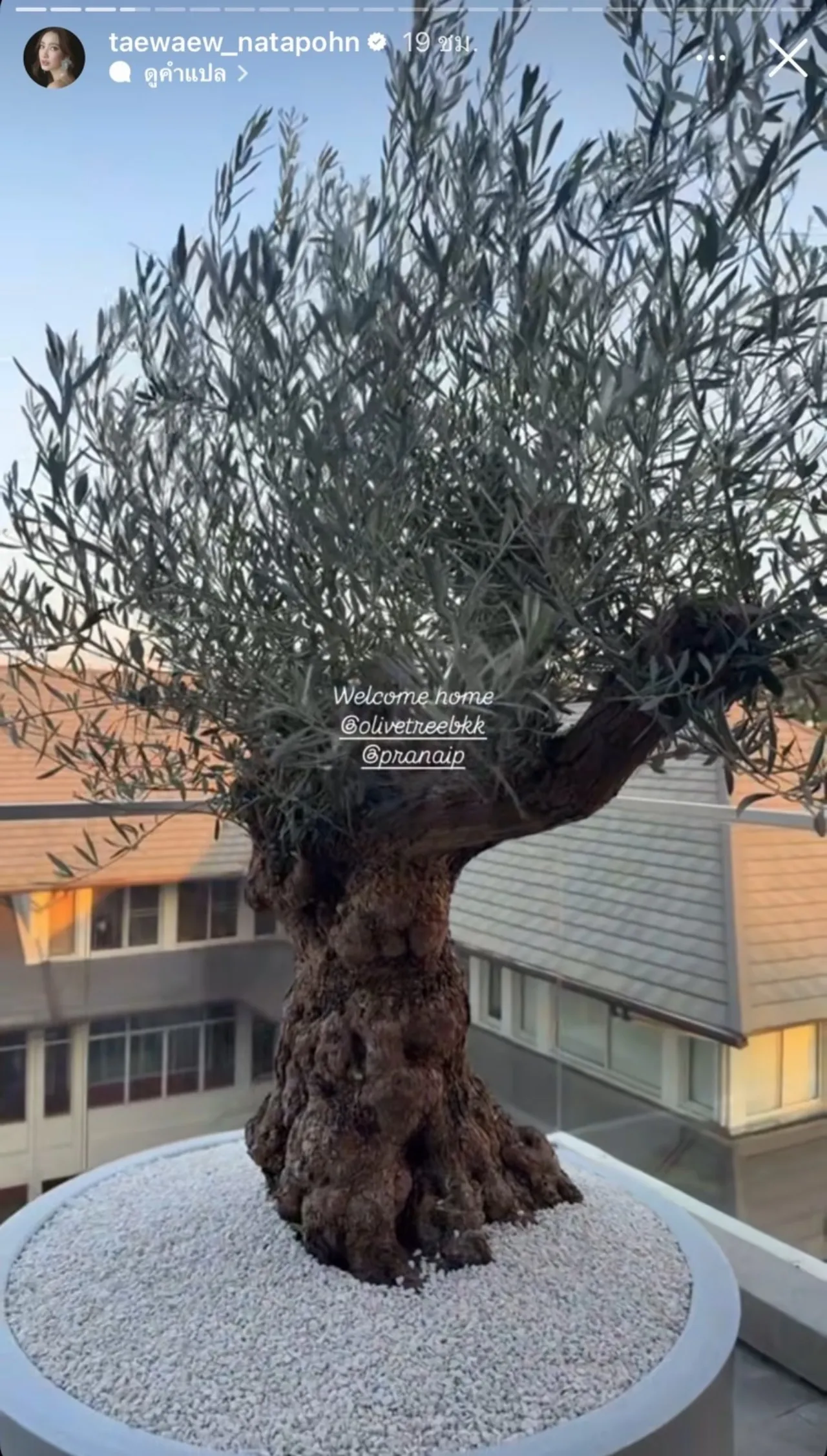 ส่องเรือนหอ แต้ว ณฐพร เผยมุมริมระเบียงสุดหรู ตกแต่งสวยงามอลังการมาก