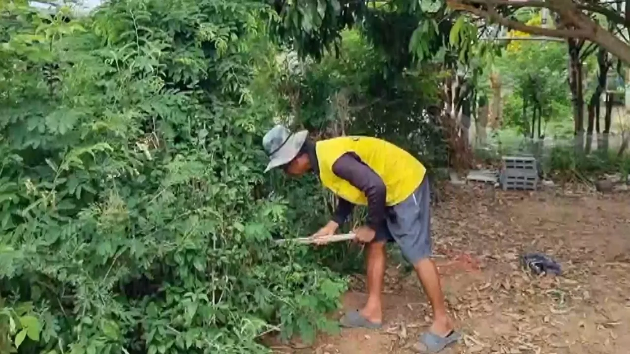 แม่แชร์อุทาหรณ์ ลูกวัย 7 ขวบ เล่นซ่อนหาแถวพุ่มไม้รก สุดท้ายเจองู