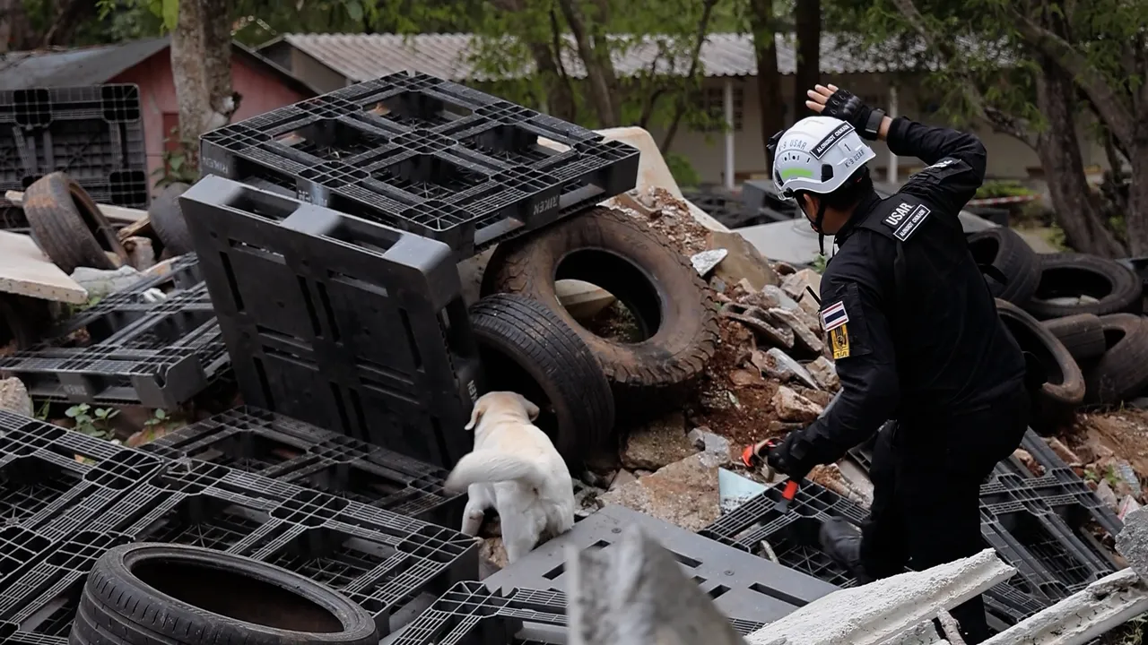K9 ฮีโร่ 4 ขา สุนัขกู้ภัยระดับโลก ภารกิจค้นหาสุดแกร่ง (คลิป)
