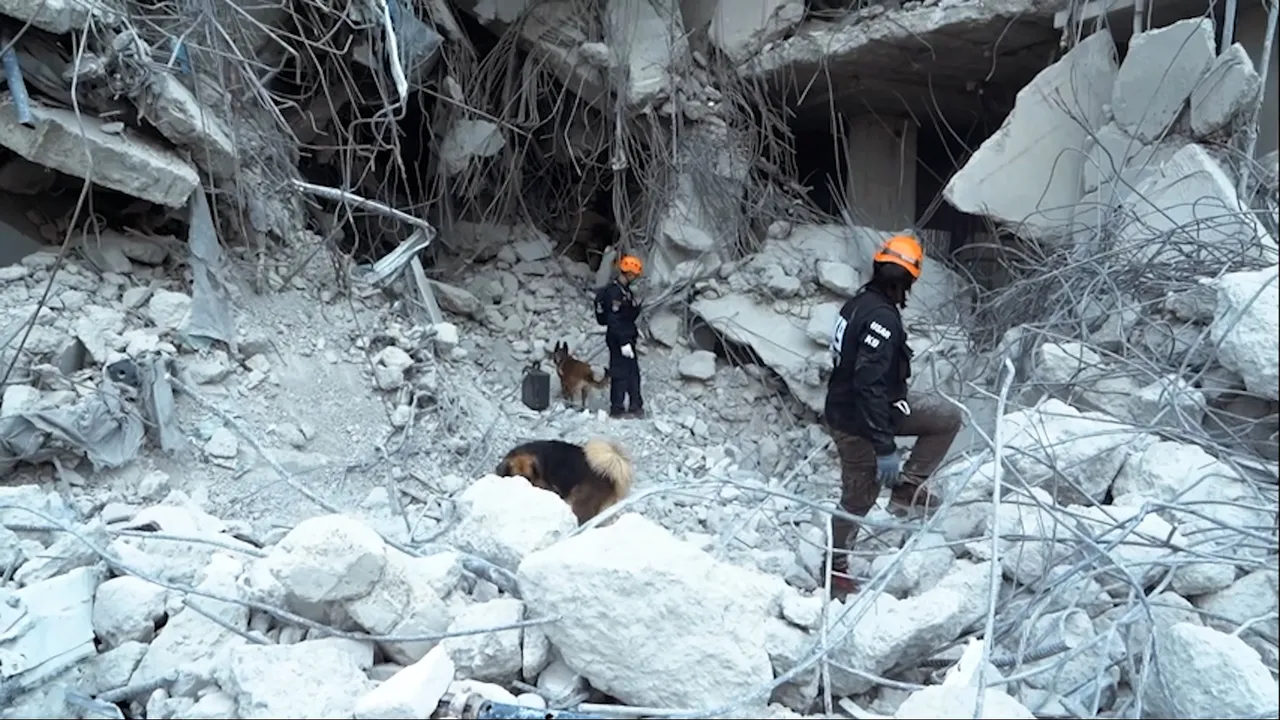 K9 ฮีโร่ 4 ขา สุนัขกู้ภัยระดับโลก ภารกิจค้นหาสุดแกร่ง (คลิป)