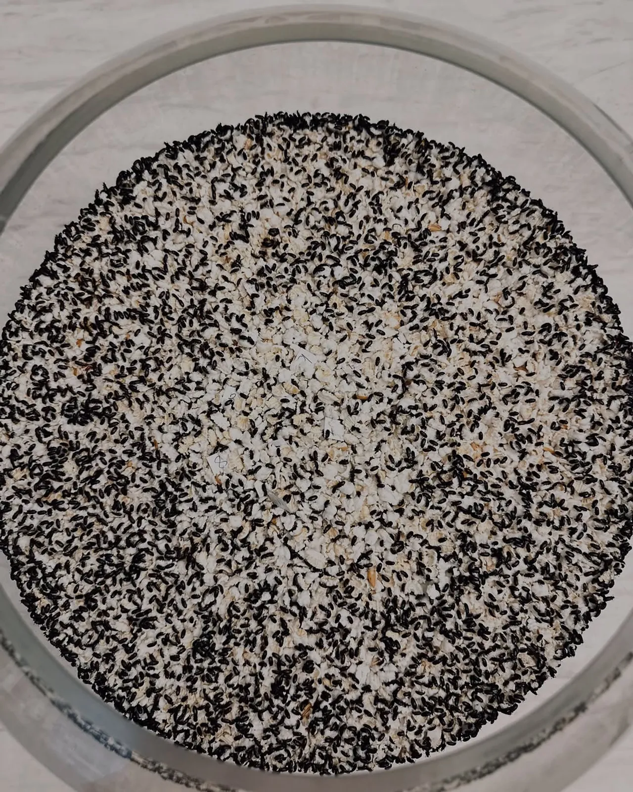 อ๋อม สกาวใจ ความหวังหมู่บ้าน เปิดเลขจากน้องกระดิ่งงวด 2 พ.ค. 2568