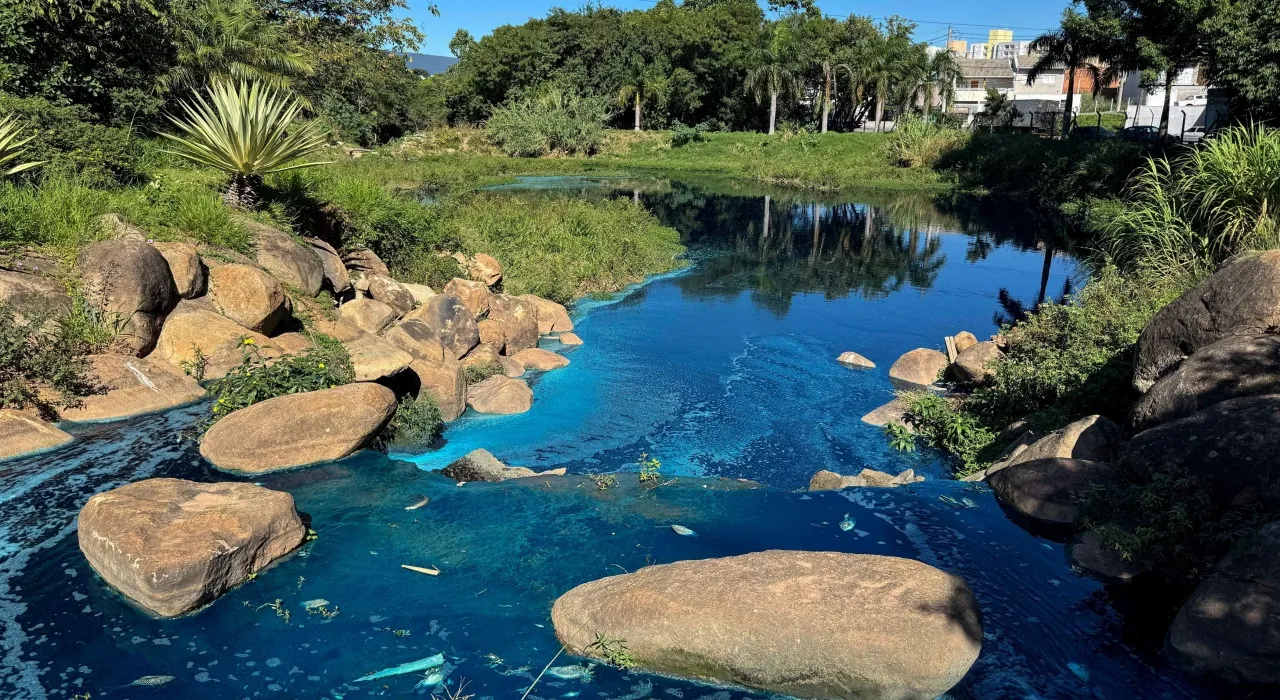 ชาวบ้านช็อก สัตว์ในลำธารกลายเป็นสีฟ้า หลังสีย้อมผ้ารั่วไหลในบราซิล