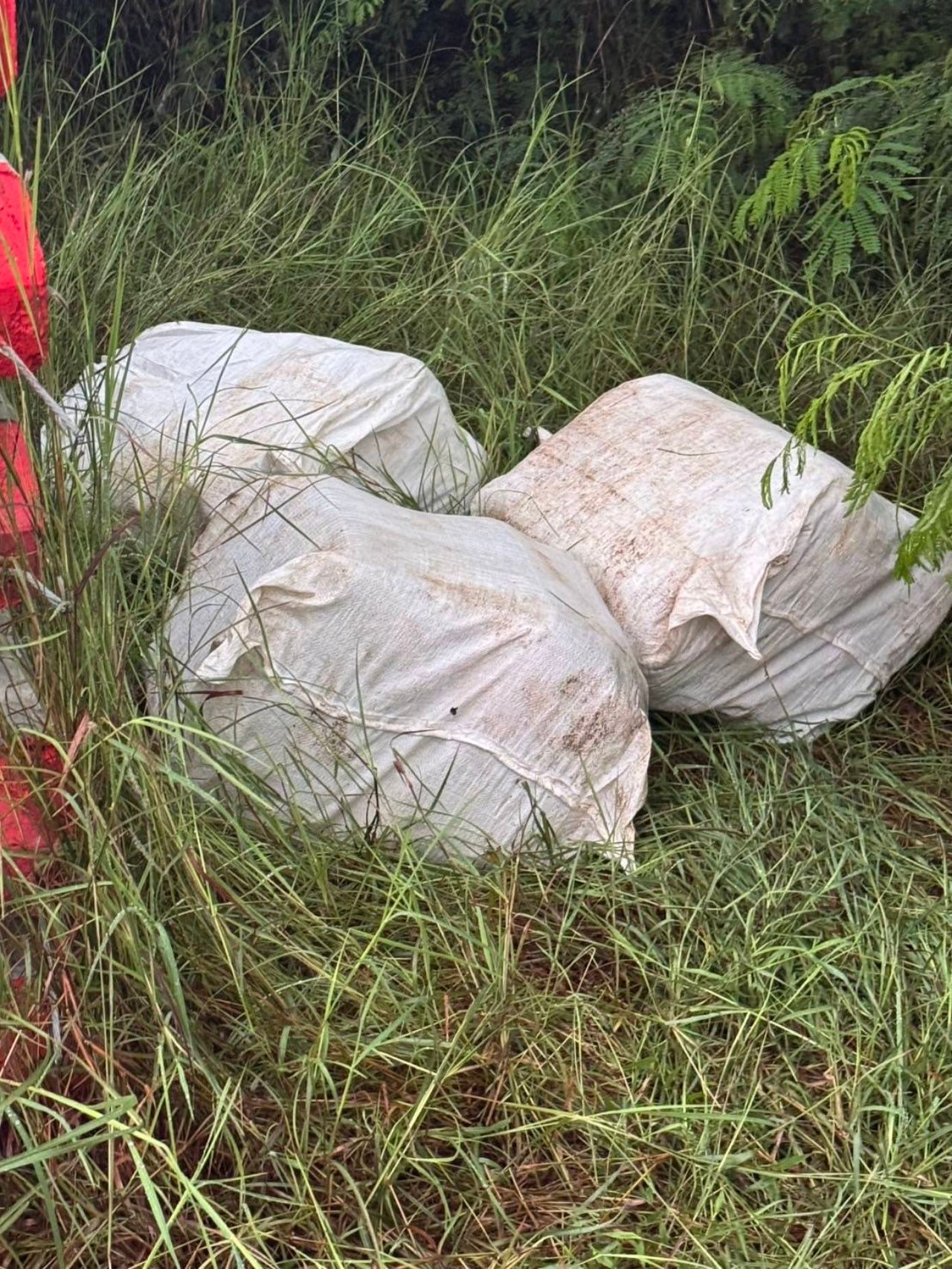 Phetchabun drug bust: Police intercept 1.2 million meth pills | News by Thaiger