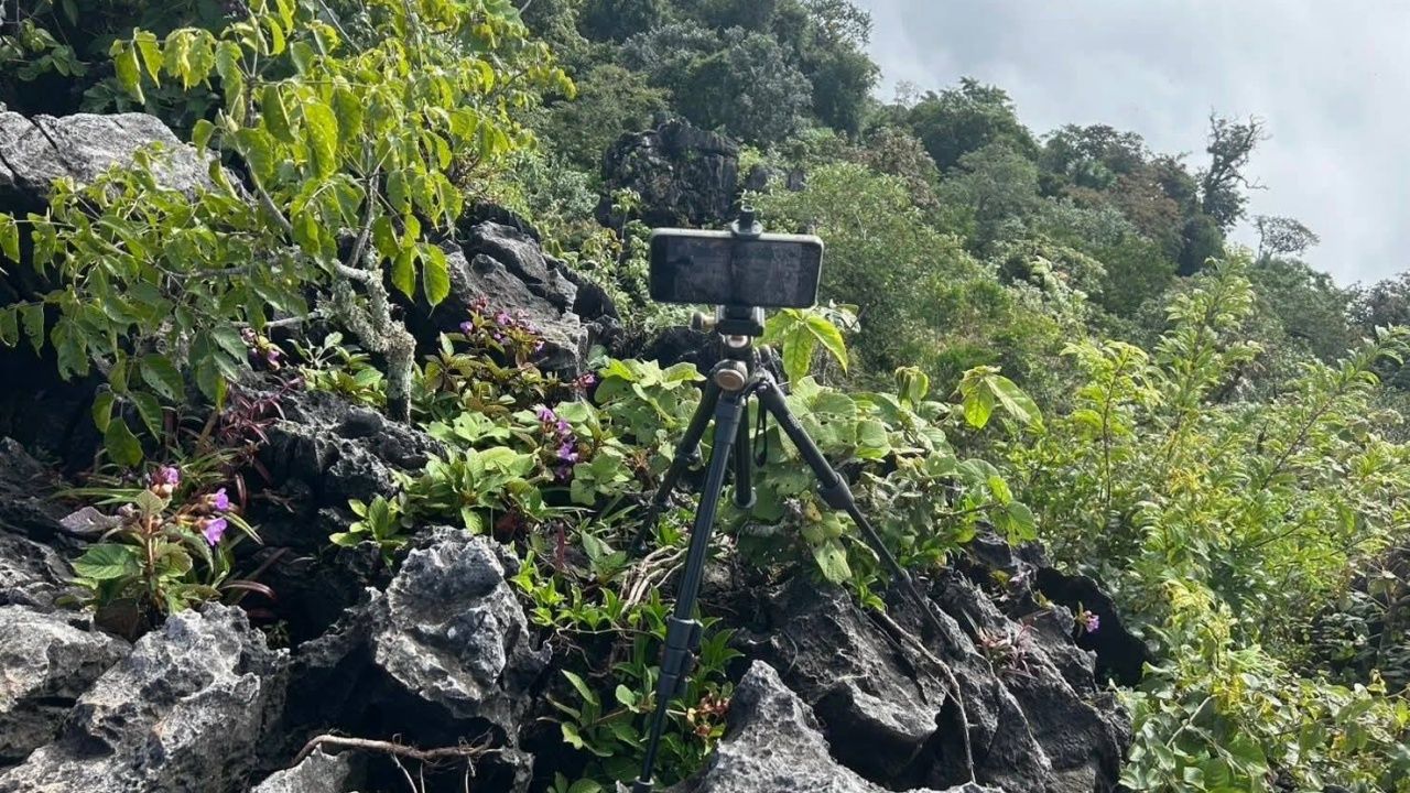ภาพจากเพจ : กรมอุทยานแห่งชาติ สัตว์ป่า และพันธุ์พืช
