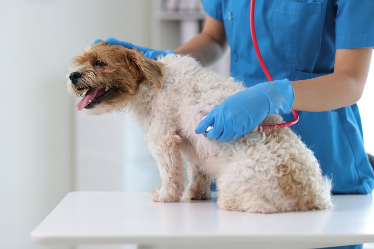 ภาพจาก iStock