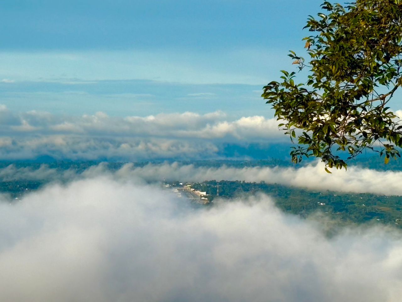 ฤดูกาลท่องเที่ยววังน้ำเขียวกำลังจะเริ่ม