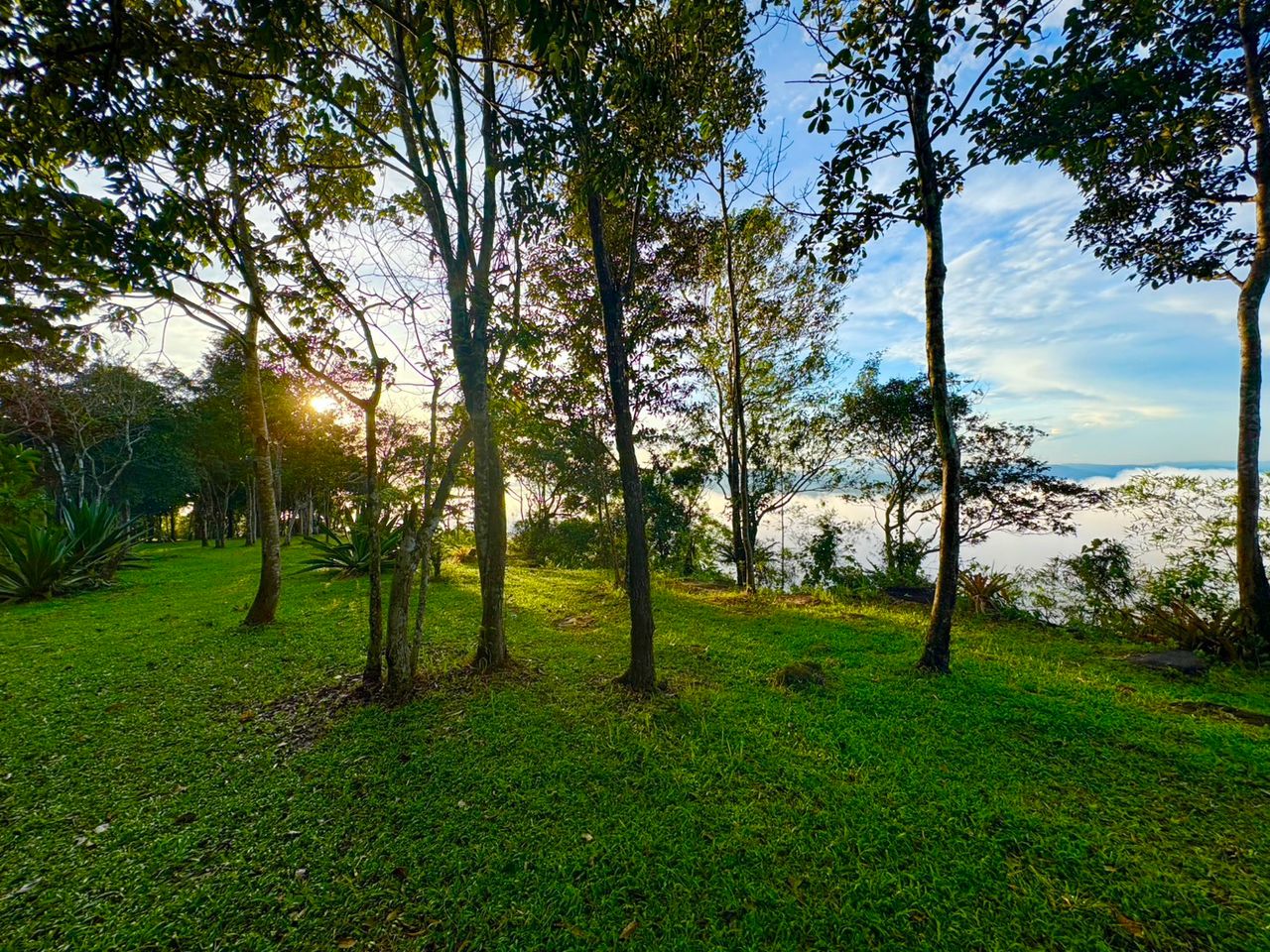 เปิดฤดูกาลวังน้ำเขียว