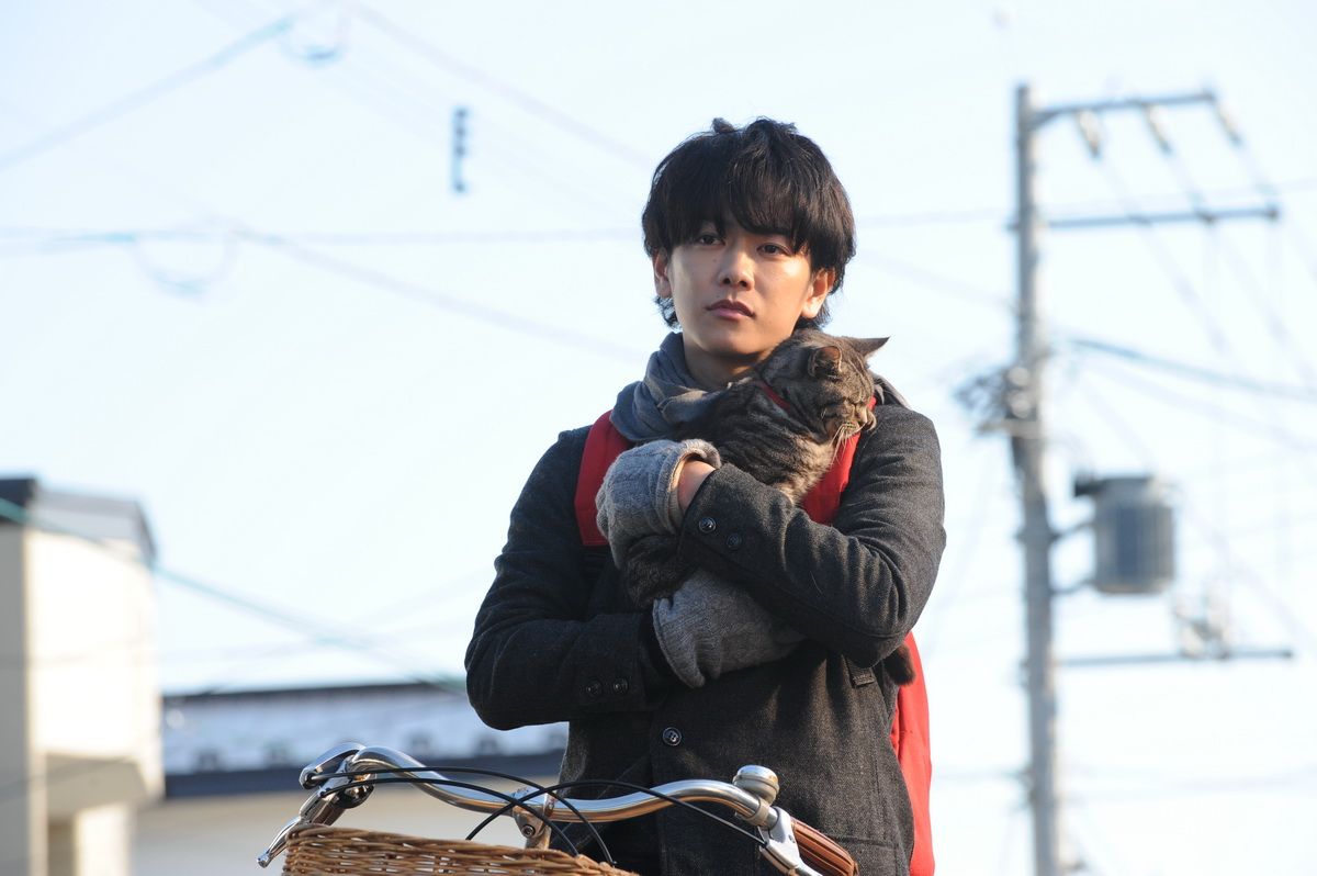 หนังญี่ปุ่น If Cats Disappeared From the World (ถ้าแมวตัวนั้นหายไปจากโลกนี้)