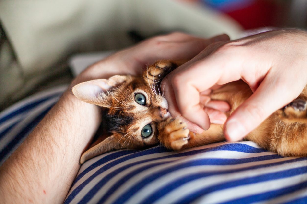 ภาพจาก iStock