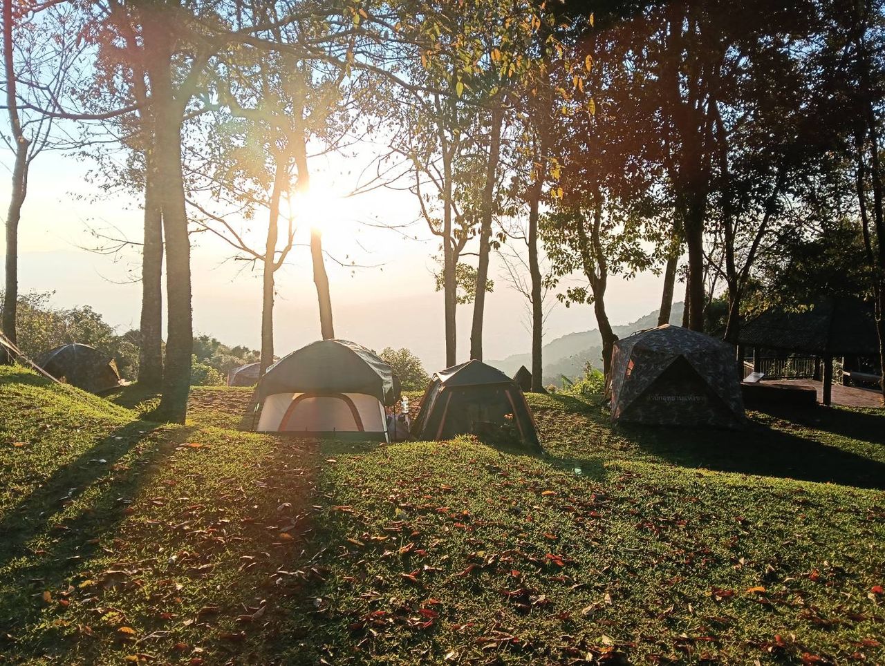 แสงอาทิตย์ยามเช้า