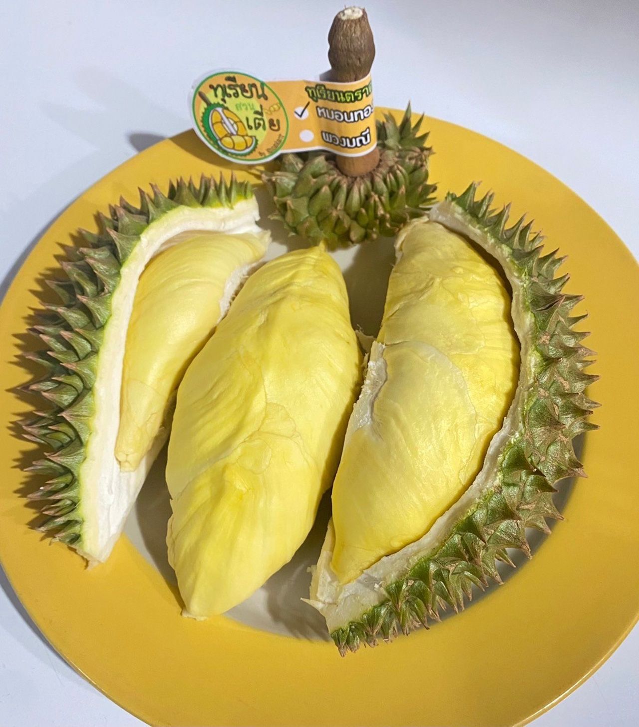 ทุเรียนหมอนทองเขาบรรทัดจังหวัดตราด