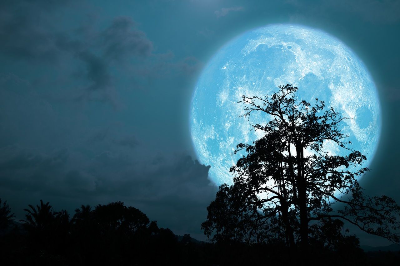 ภาพจาก iStock