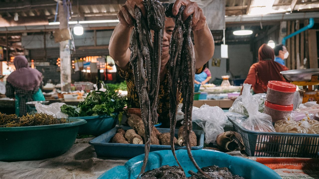 วาย หรือปลาหมึกสาย ที่พบได้เฉพาะฤดูน้ำแห้งของเกาะสมุย