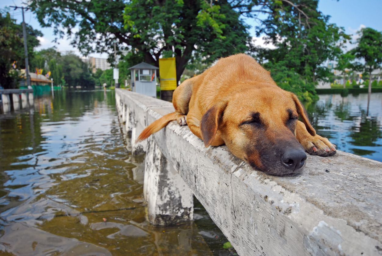 ภาพจาก iStock