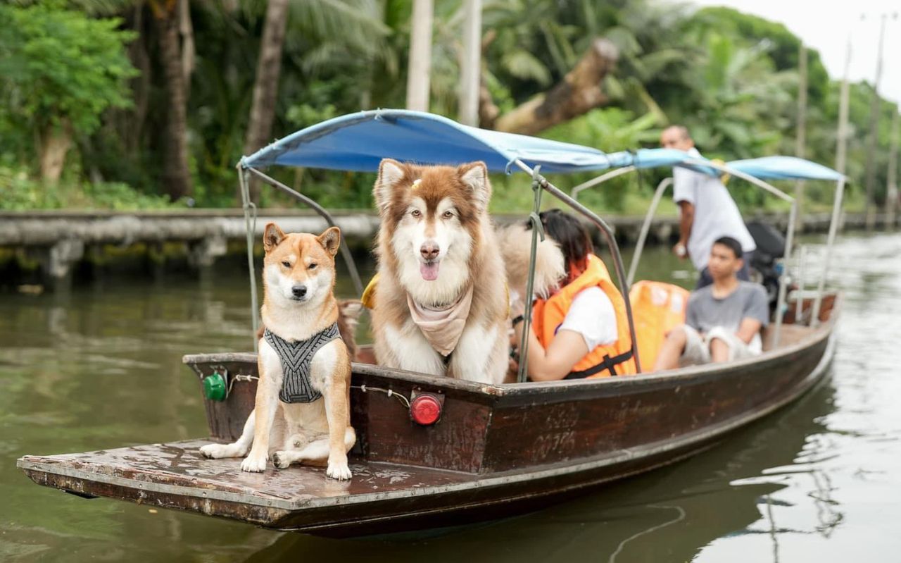 ที่มาของภาพ : เฟซบุ๊กเพจ บ้านวาดเขียนและภาพพิมพ์