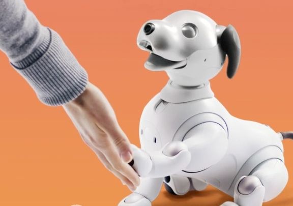 ภาพจาก Sony Aibo