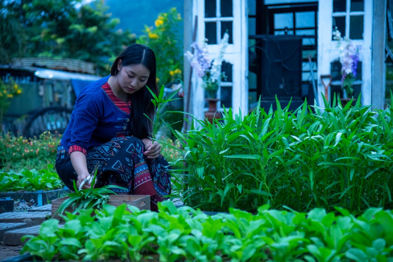 ภาพจาก iStock