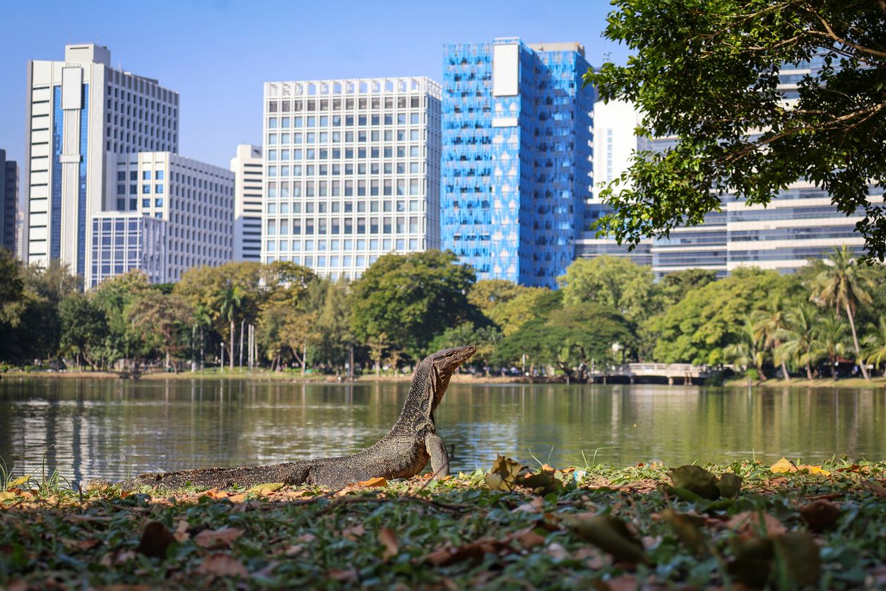 ภาพจาก iStock