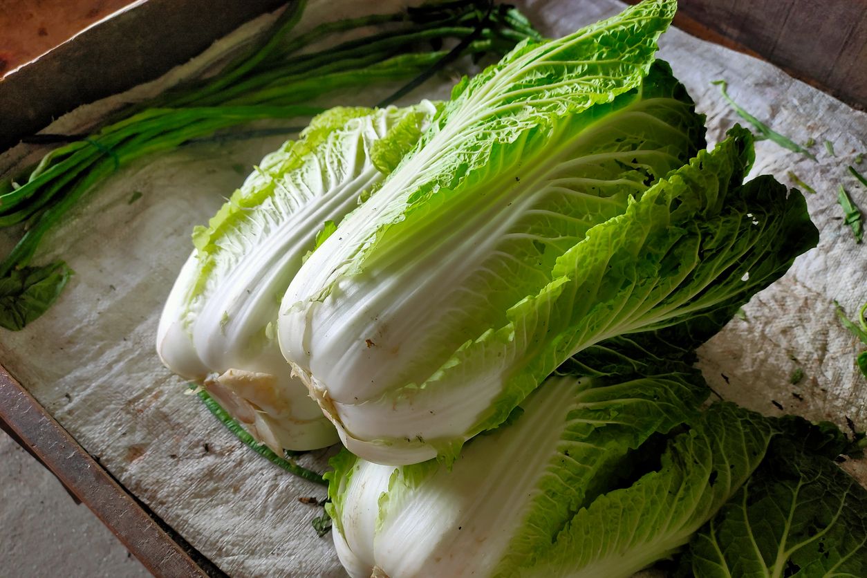 ภาพจาก iStock
