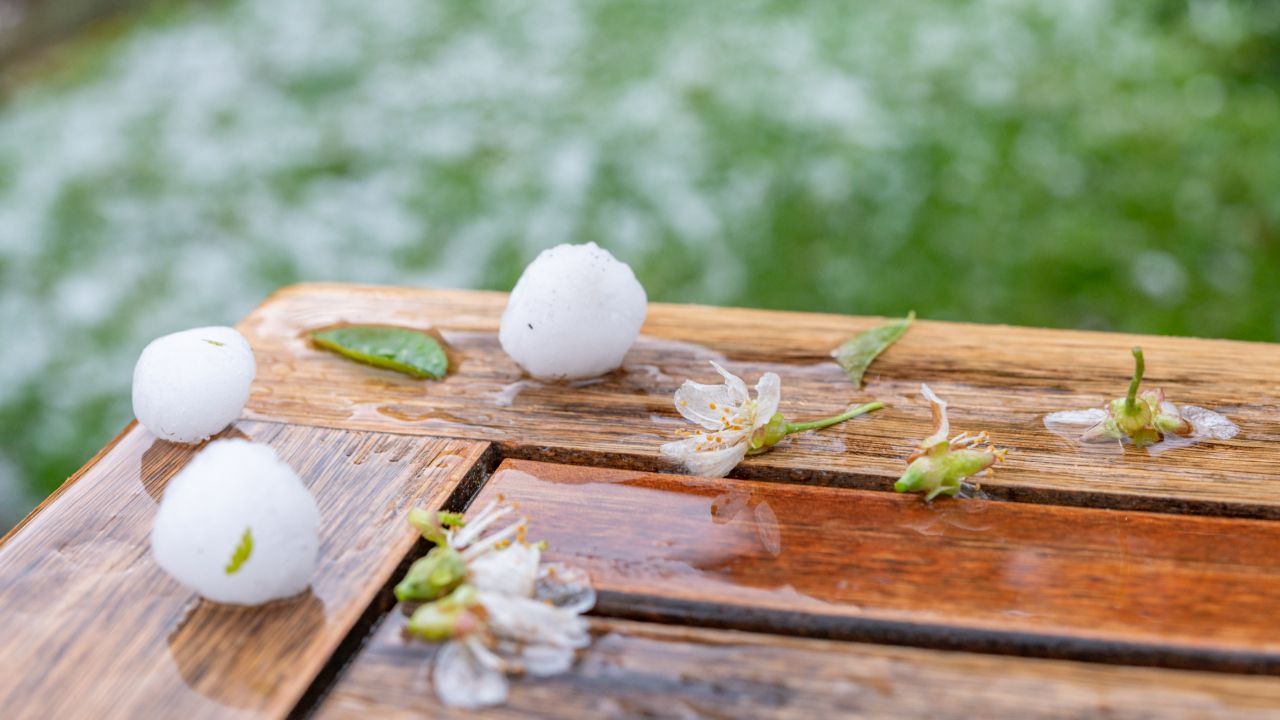 ภาพจาก iStock