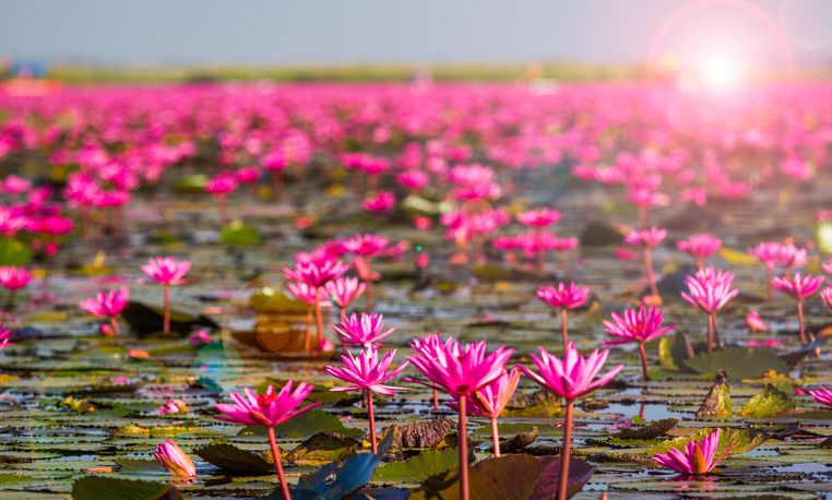 ภาพจาก iStock