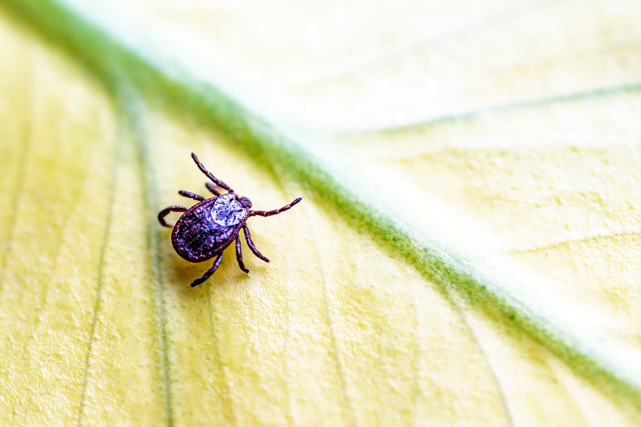 ภาพจาก iStock