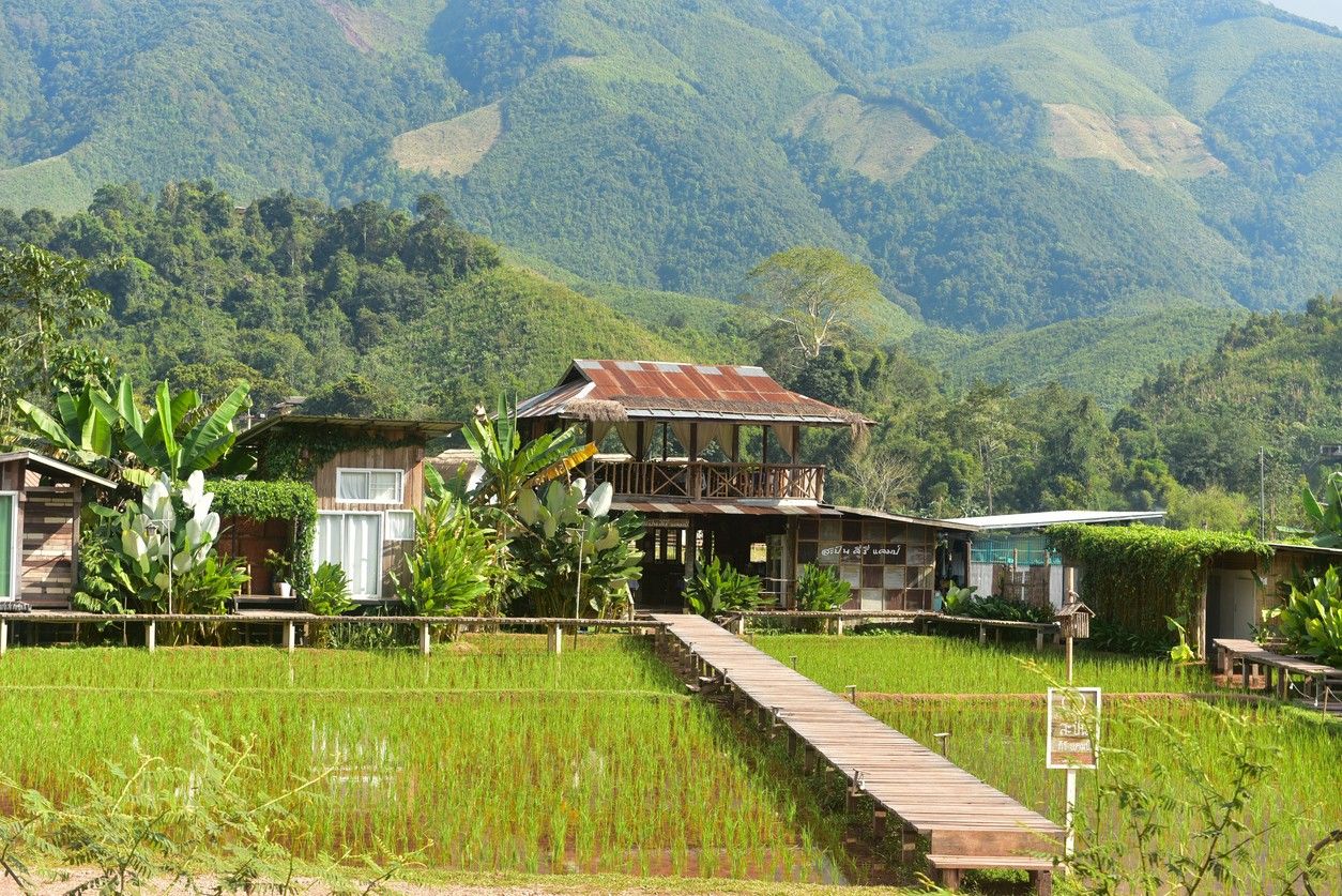 ภาพจาก iStock