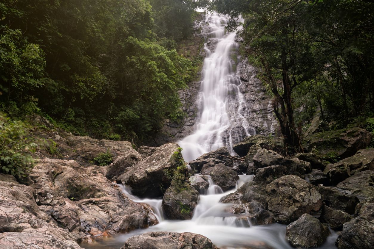 ภาพจาก iStock