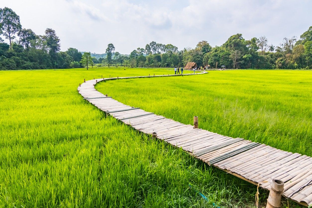 ภาพจาก iStock