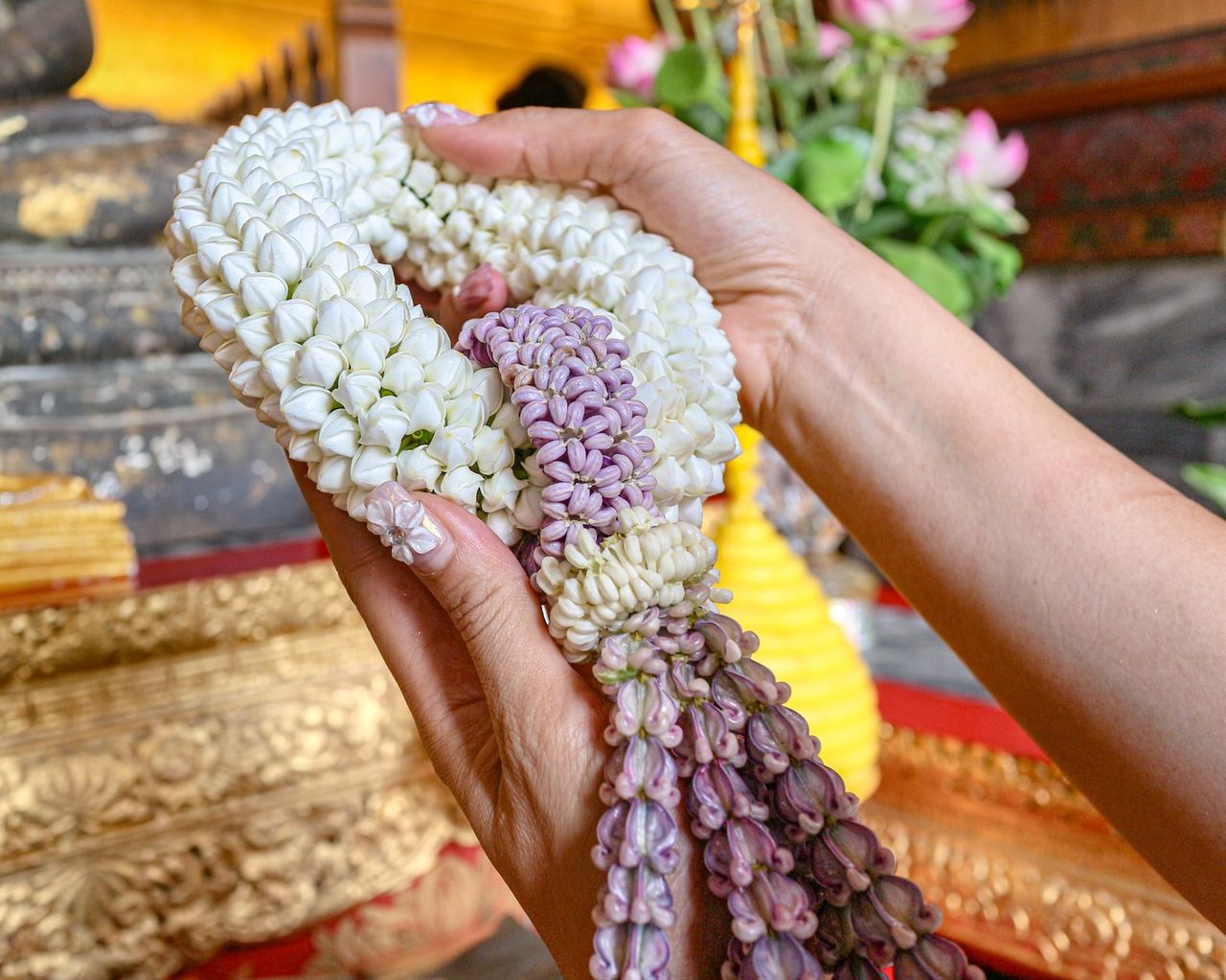 ดอกพุด ดอกแหลมเรียว ปลายยอดมีรอยบิดเกลียว
