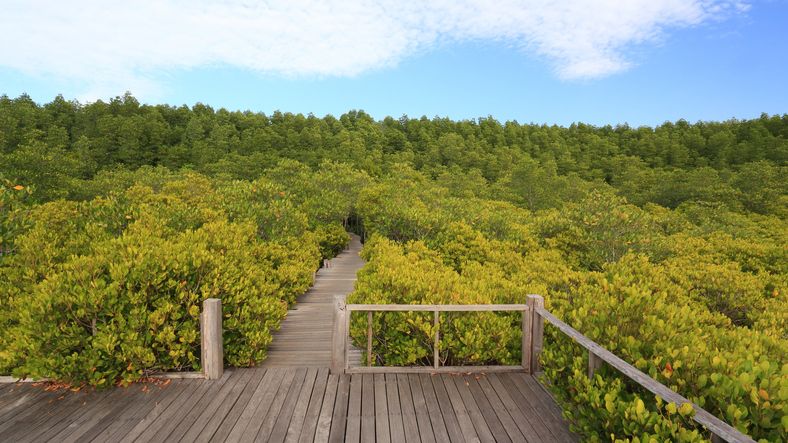 ภาพจาก iStock